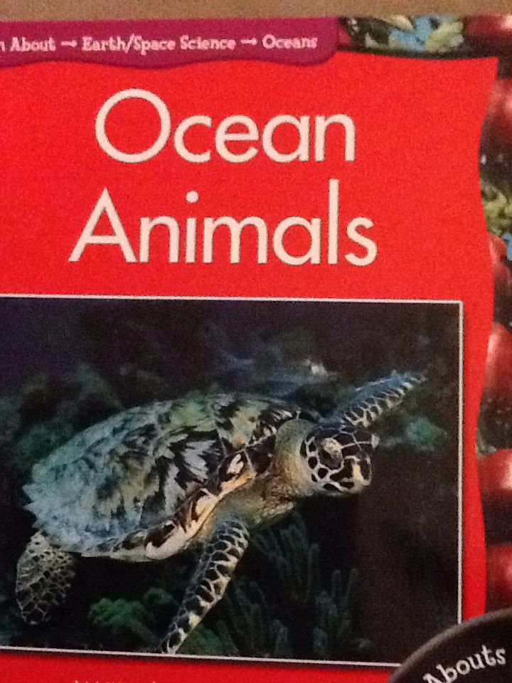 Ocean Animals