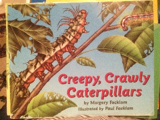 Creepy, Crawly Caterpillars - Paul Facklam (Little, Brown Young Readers - Paperback) book collectible [Barcode 9780316273916] - Main Image 1