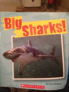 Big Sharks - Tori Kosara (A Scholastic Press - Paperback) book collectible [Barcode 9780545300445] - Main Image 1