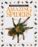 Amazing Spiders