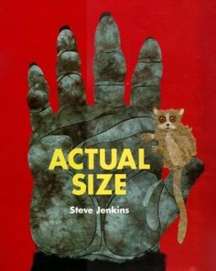 Actual Size - Steve Jenkins (Houghton Mifflin Harcourt - Hardcover) book collectible [Barcode 9780547255545] - Main Image 1