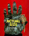 Actual Size - Steve Jenkins (HarperCollins - Paperback) book collectible [Barcode 9780547512914] - Main Image 1