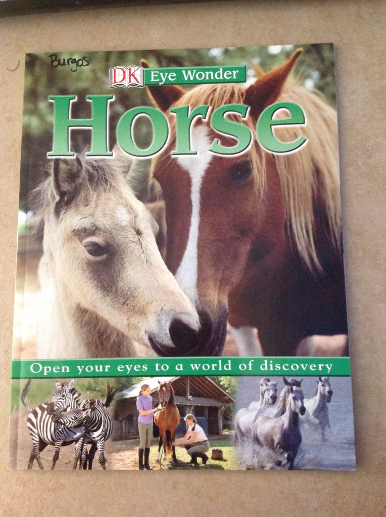Horse
