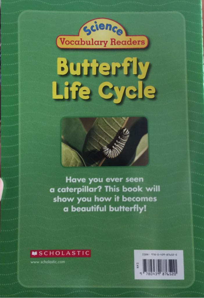 Butterfly Life Cycle - Jeff Bauer (Steck-Vaughn - Paperback) book collectible [Barcode 9780439876520] - Main Image 2