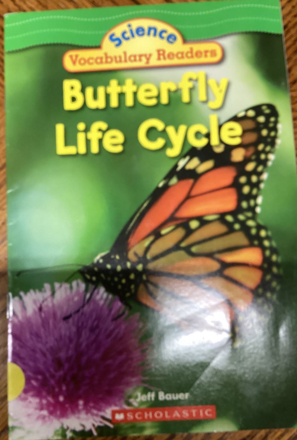 Butterfly Life Cycle - Jeff Bauer (Steck-Vaughn - Paperback) book collectible [Barcode 9780439876520] - Main Image 3
