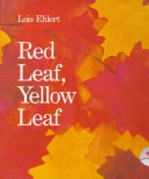 Autumn Leaves - Ken Robbins (Scholastic Inc. - Paperback) book collectible [Barcode 9780439131438] - Main Image 1