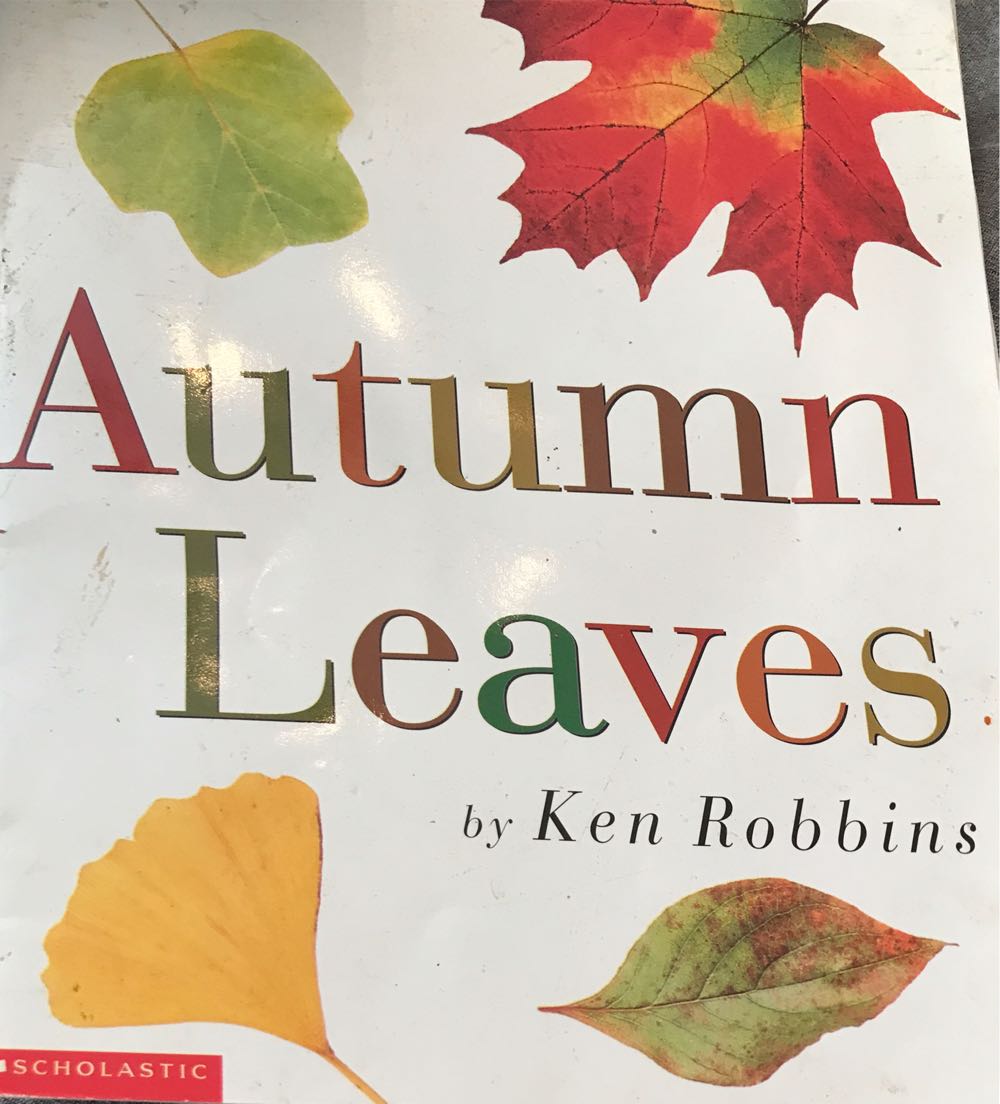 Autumn Leaves - Ken Robbins (Scholastic Inc. - Paperback) book collectible [Barcode 9780439131438] - Main Image 3