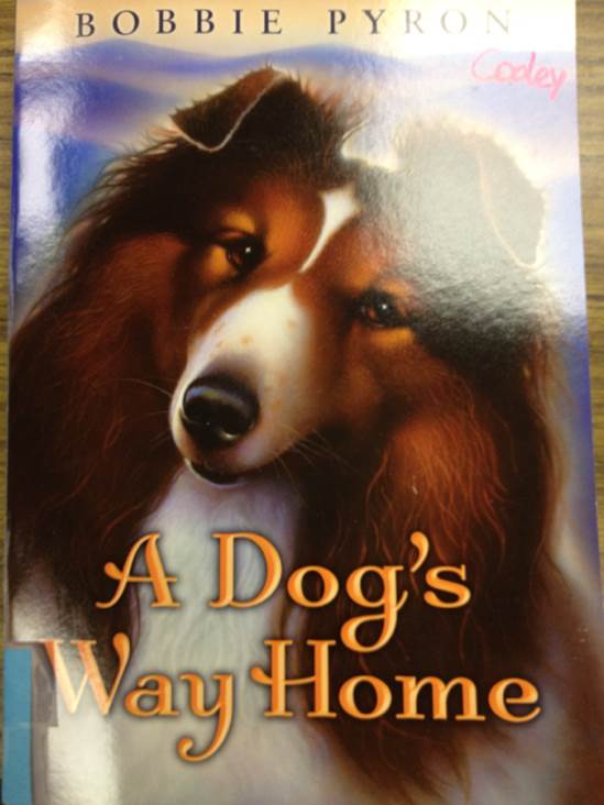 A Dog’s Way Home - W. Bruce Cameron (- Paperback) book collectible [Barcode 9780545444439] - Main Image 1