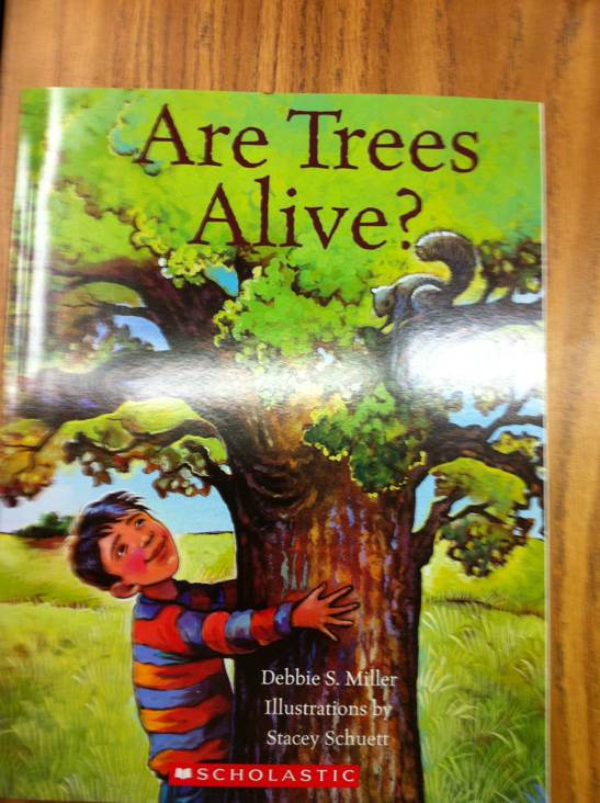 Are Trees Alive? - Debbie S. (- Paperback) book collectible [Barcode 9780439851947] - Main Image 1
