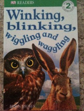 Winking Blinking Wiggling And Waggling