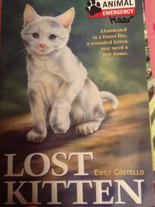 Lost Kitten