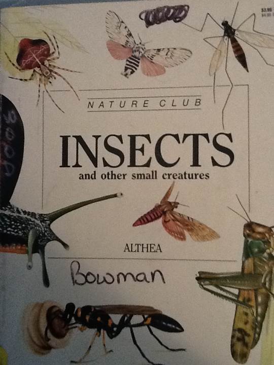 Nature Club Insects And Other Small Creature - Althea (Troll Communications Llc) book collectible [Barcode 9780816719624] - Main Image 1