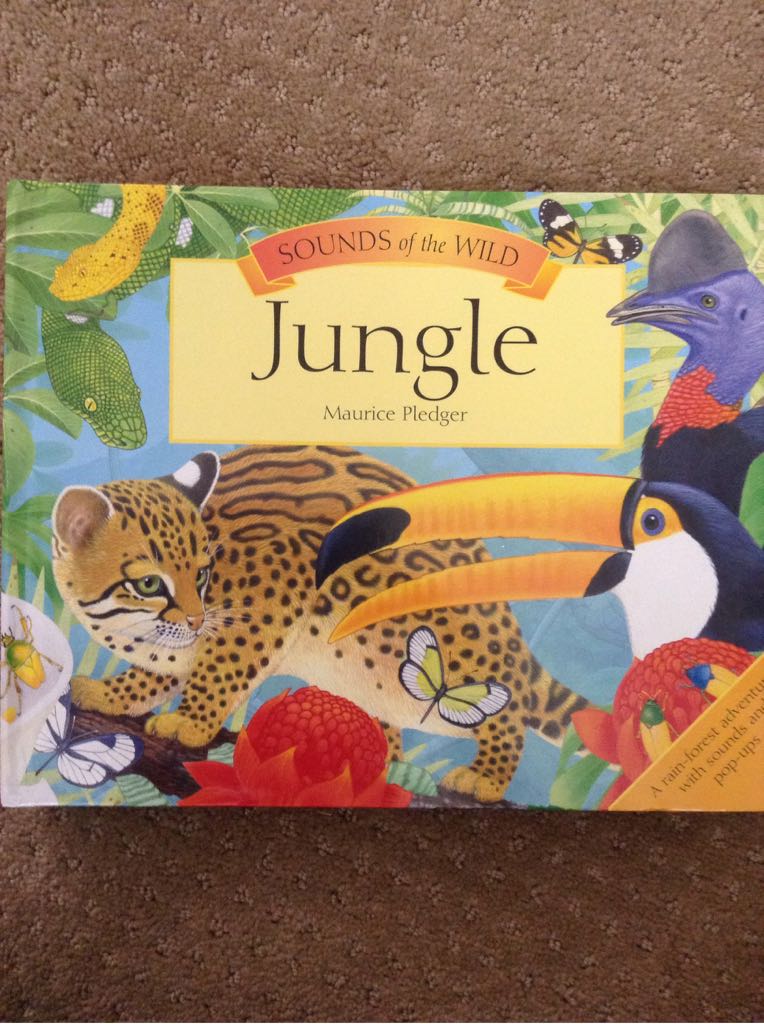 Jungle