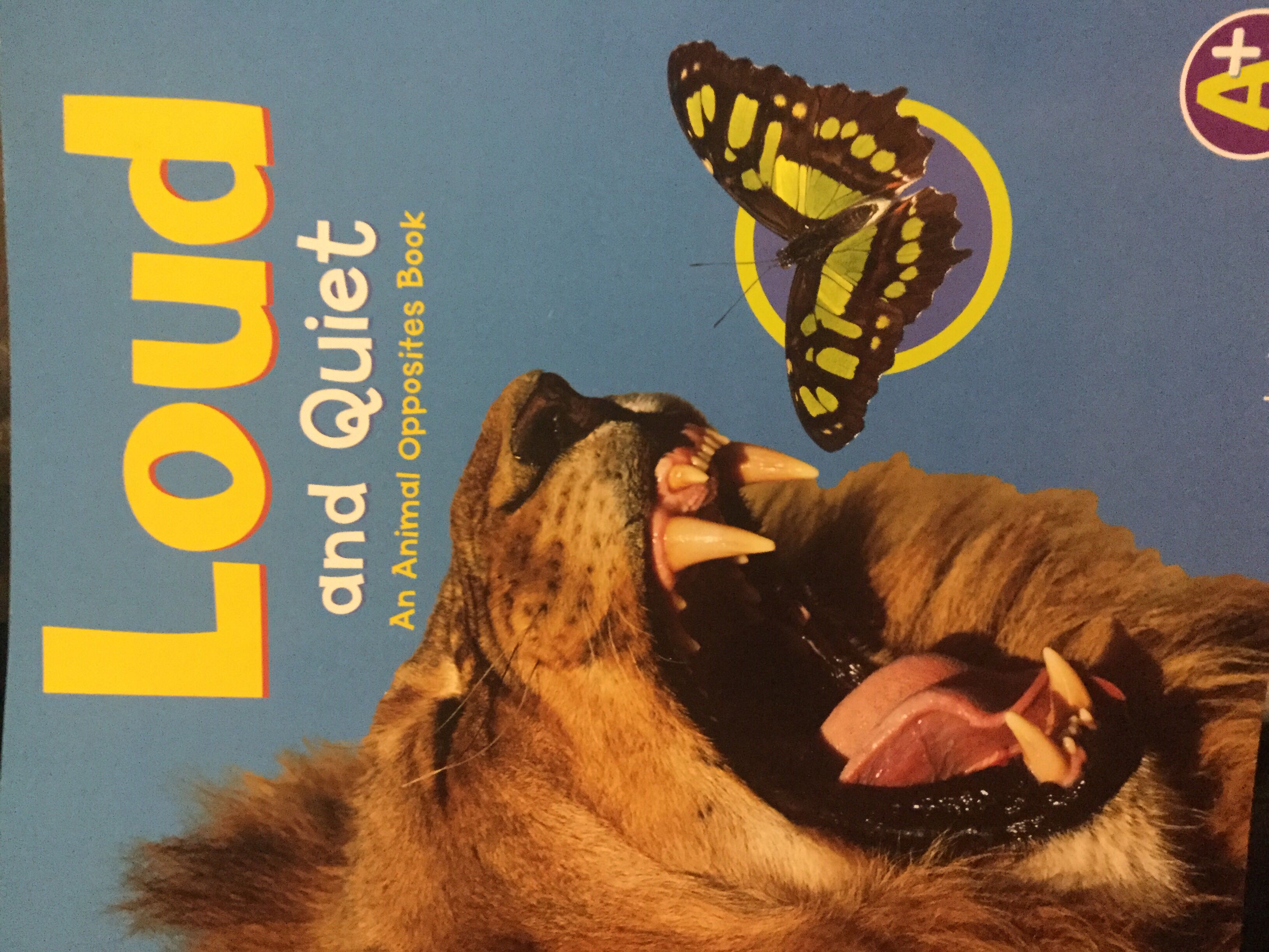 Loud And Quiet - Eric Carle (HMH Books - Paperback) book collectible [Barcode 9781429642323] - Main Image 2