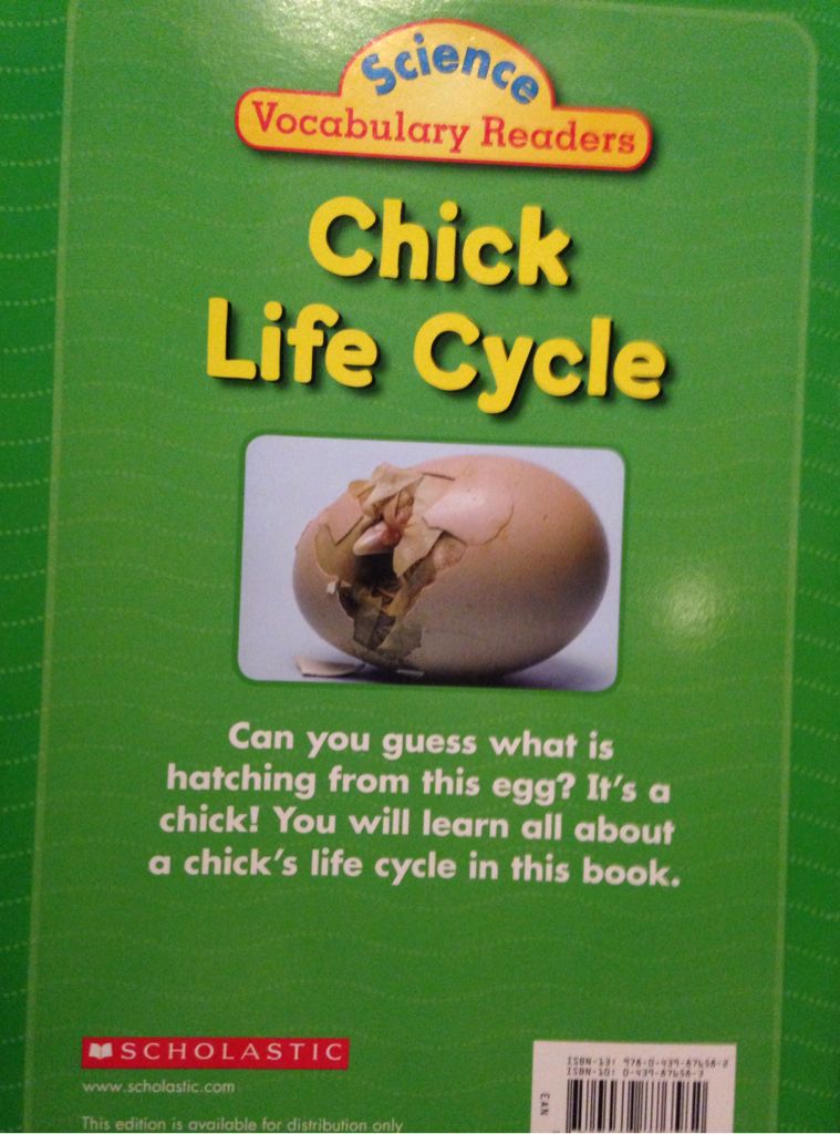 Chick Life Cycle - Elizabeth Bennett (Scholastic - Paperback) book collectible [Barcode 9780439876582] - Main Image 2