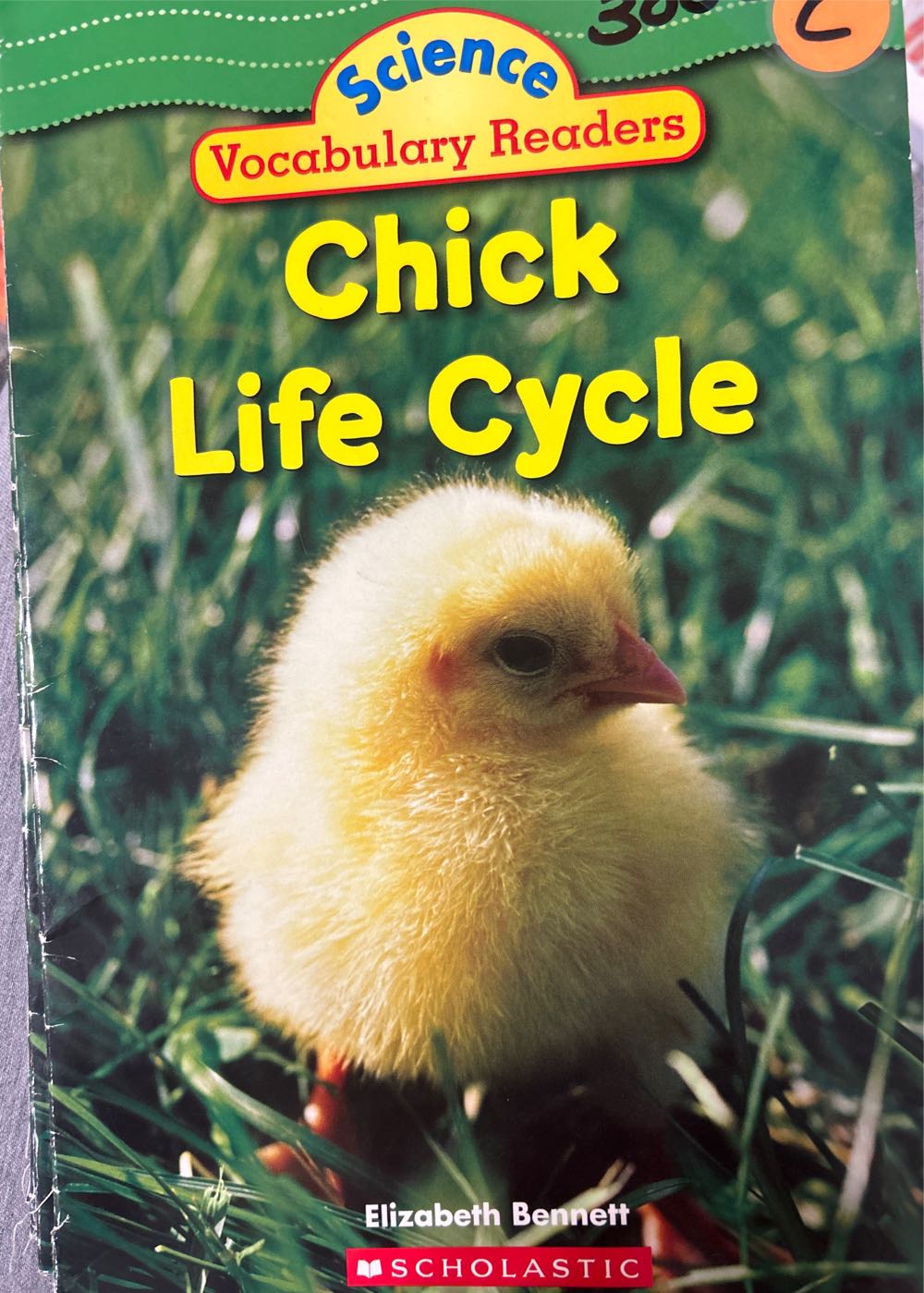 Chick Life Cycle - Elizabeth Bennett (Scholastic - Paperback) book collectible [Barcode 9780439876582] - Main Image 3