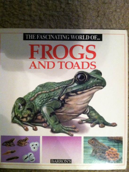 The Fascinating World Of Frogs And Toads