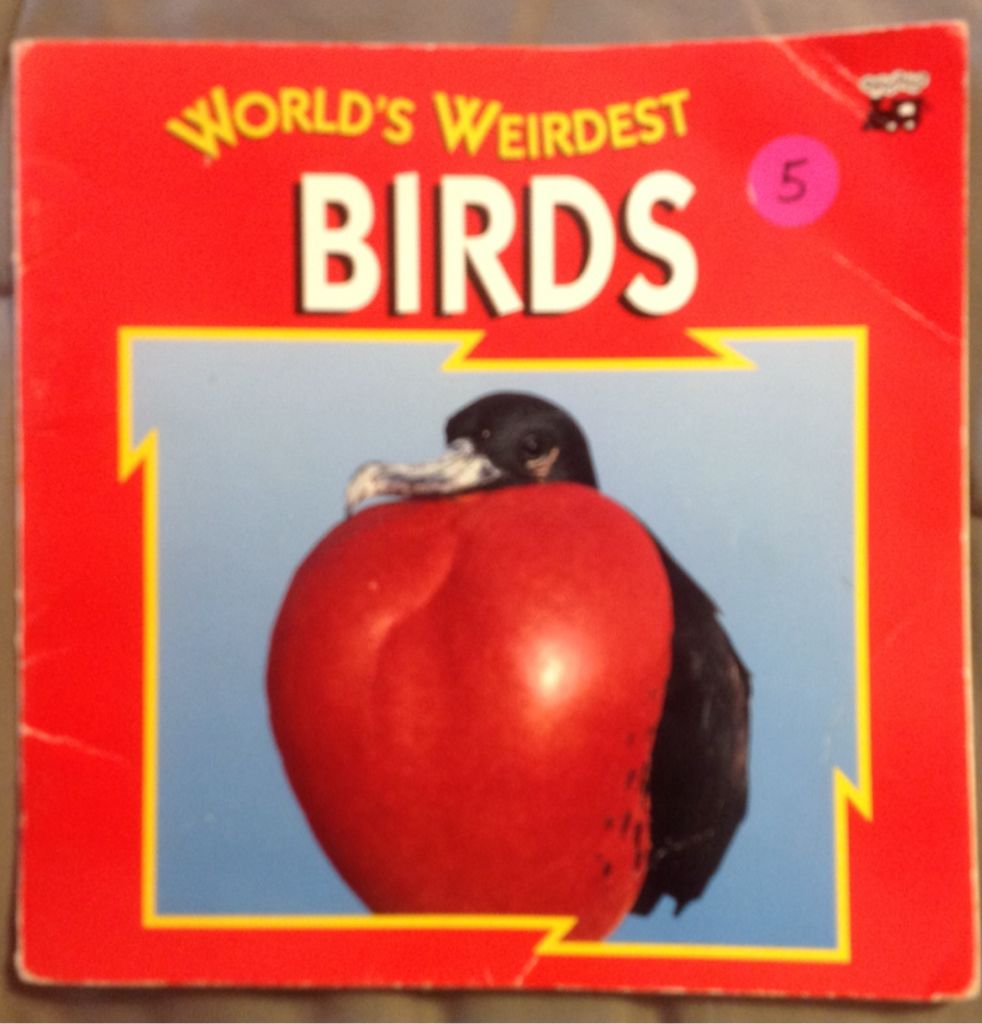World’s Weirdest Birds