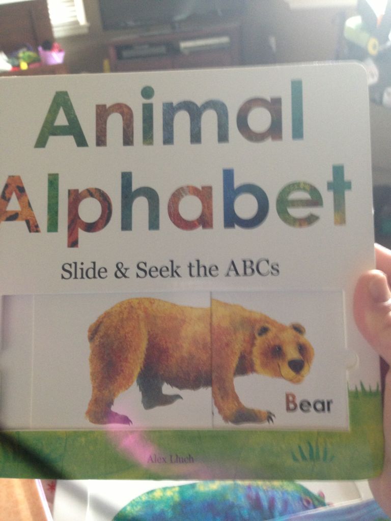 Animal Alphabet