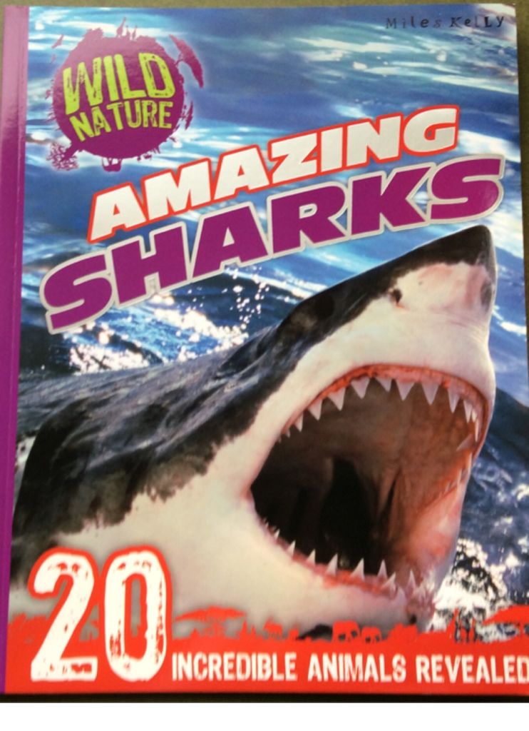 Amazing Sharks