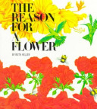 The Reason For A Flower