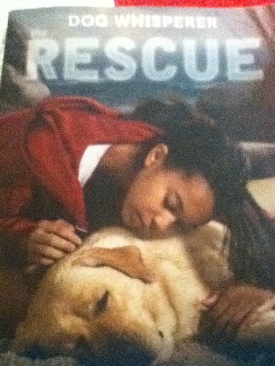 Dog Whisperer the RESCUE - Nicholas Edwards book collectible [Barcode 9780545245098] - Main Image 1