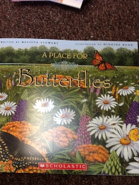 A Place For Butterflies - Melissa Stewart (- Paperback) book collectible [Barcode 9780439024846] - Main Image 1