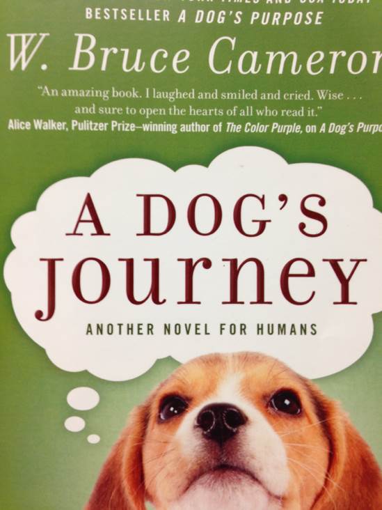 A Dog’s Journey
