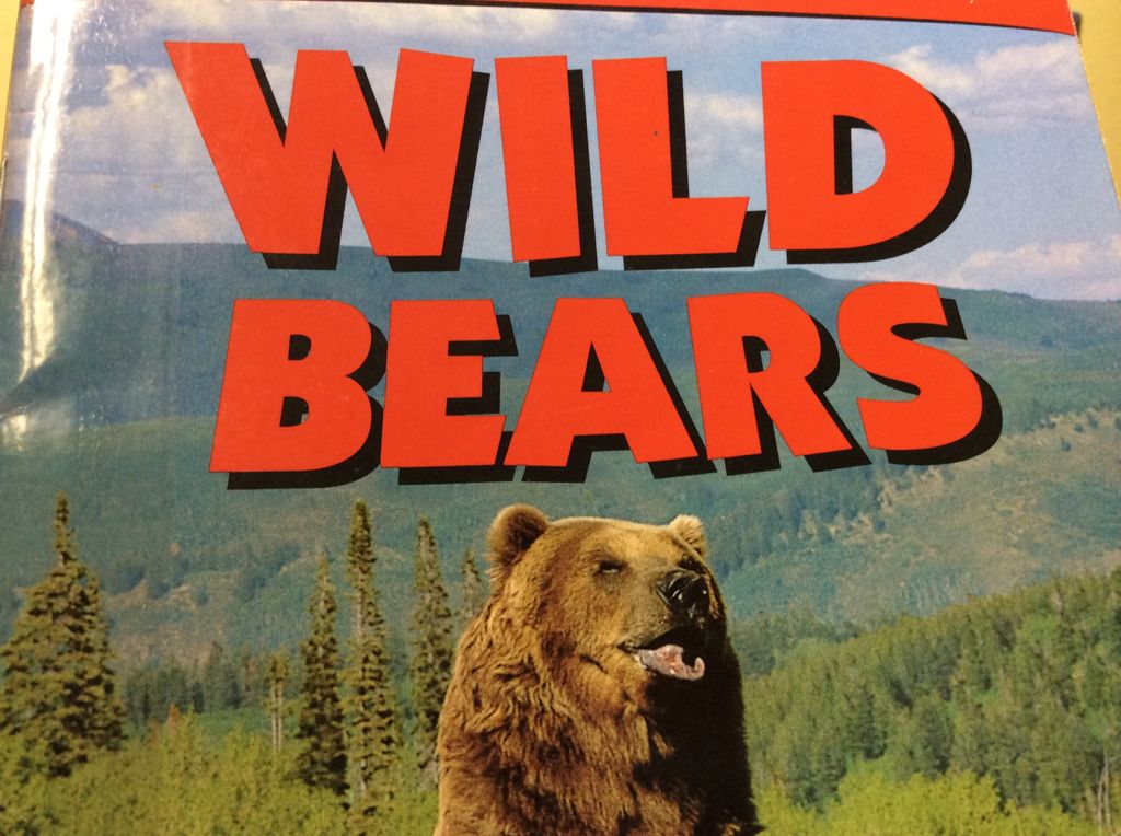 Wild Bears