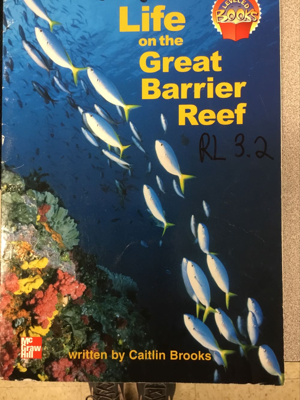 Life On The Great Barrier Reef