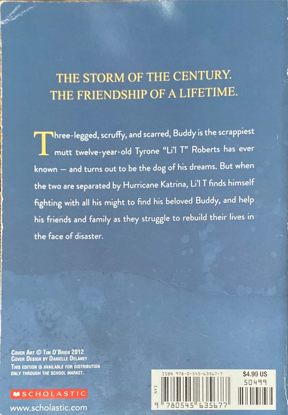 Buddy - M H Herlong (Herlong - Paperback) book collectible [Barcode 9780545635677] - Main Image 2