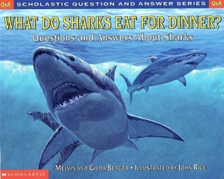 What Do Sharks Eat For Dinner?