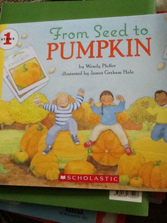 From Seed To Pumpkin - Wendy Pfeffer (Scholastic - Paperback) book collectible [Barcode 9780439826051] - Main Image 1