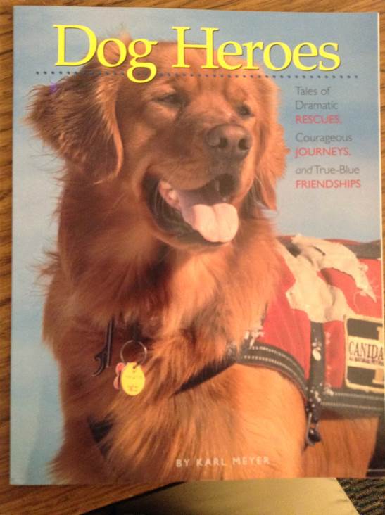 Dog Heroes - Karl Meyer (- Paperback) book collectible [Barcode 9781603421379] - Main Image 1