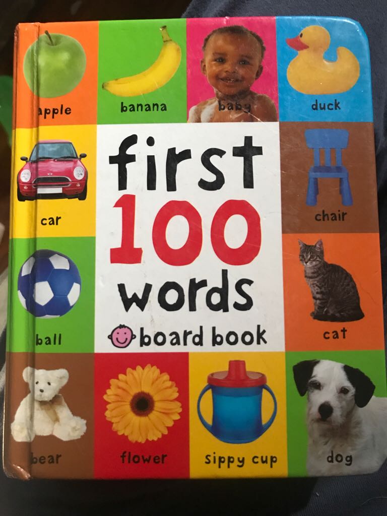First 100 Words - Roger Priddy book collectible [Barcode 9780312521080] - Main Image 1