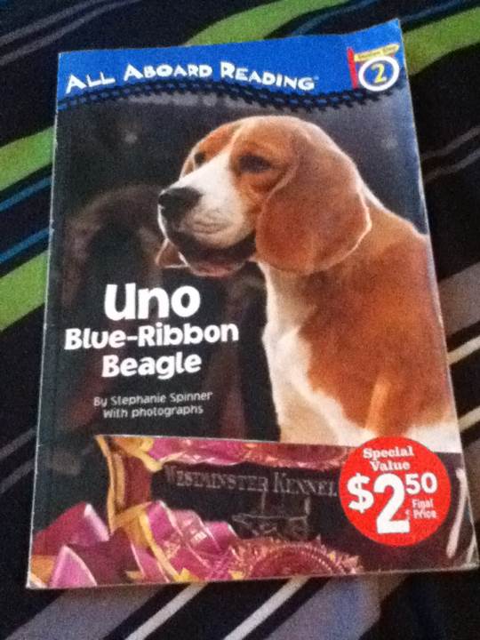Uno Blue-rubbion Beagle xG7- Animal Dog