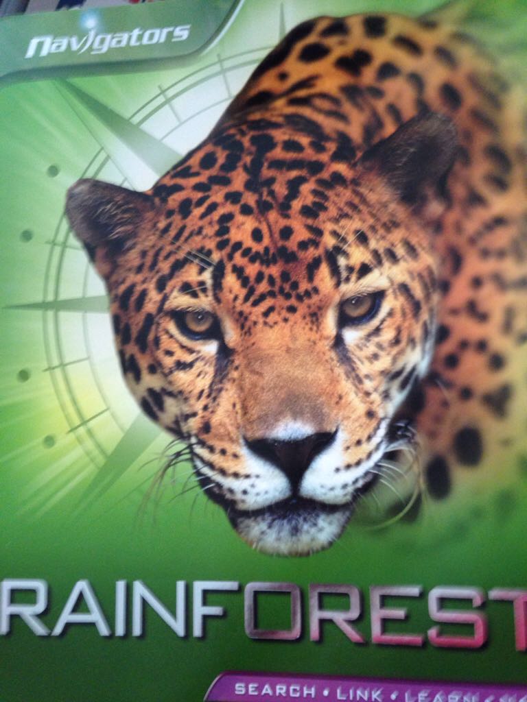 Rainforests