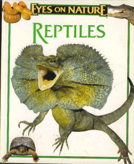 Eyes On Nature: Reptiles - Robert Matero (Kids Books Incorporated - Paperback) book collectible [Barcode 9781561561513] - Main Image 1