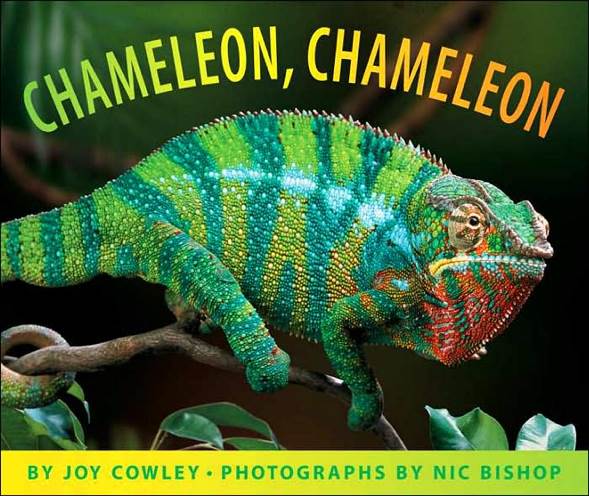 Chameleon! - Joy Cowley (Creatures - Chameleon) book collectible [Barcode 9780439781114] - Main Image 1