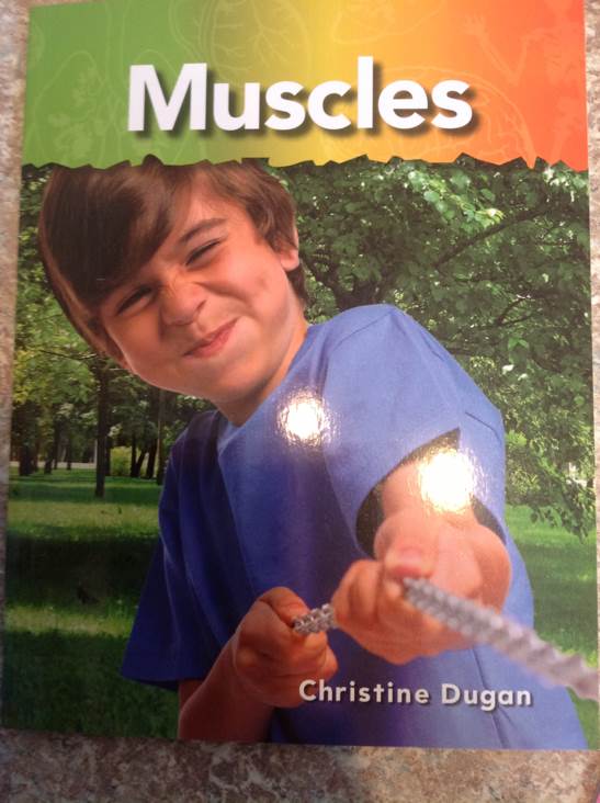 Muscles