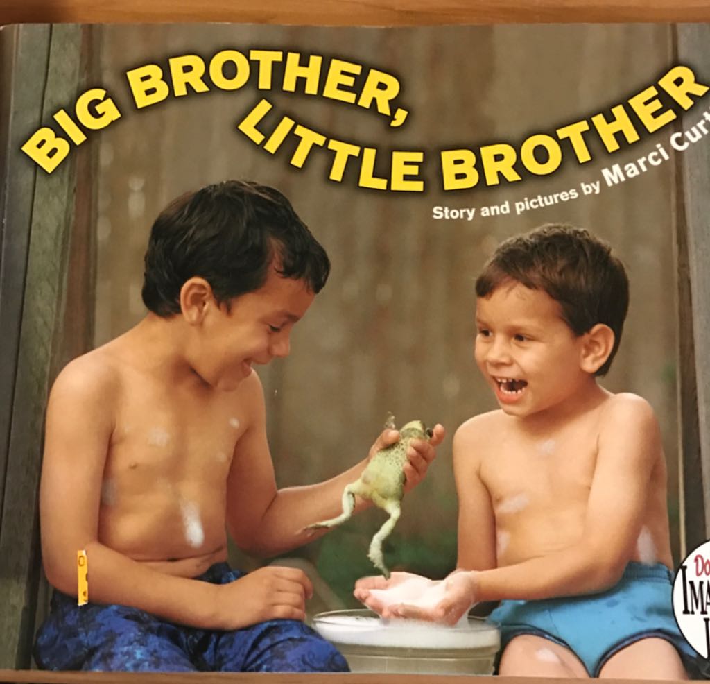 Big Brother Little Brother - Marci Curtis book collectible [Barcode 9780803739581] - Main Image 1
