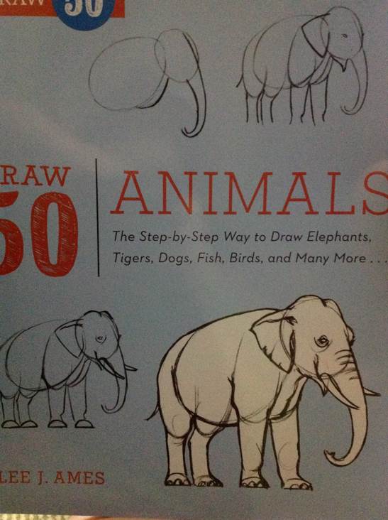 Draw 50 Animals