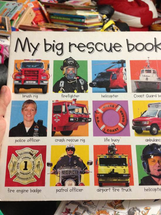 My Big Rescue Book
