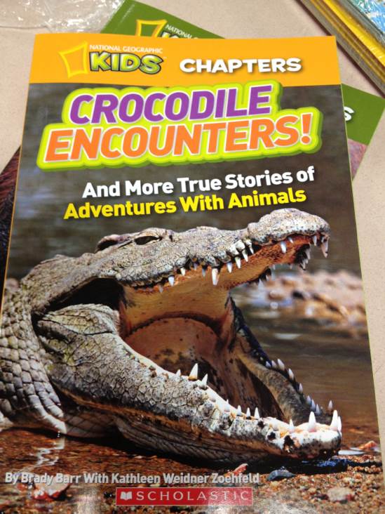 Crocodile Encounters