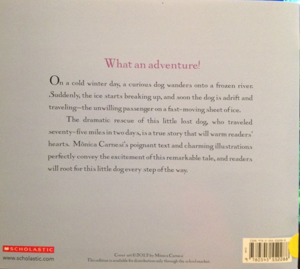 Little Dog Lost - Monica Carnesi (Scholastic Inc. - Paperback) book collectible [Barcode 9780545552288] - Main Image 2