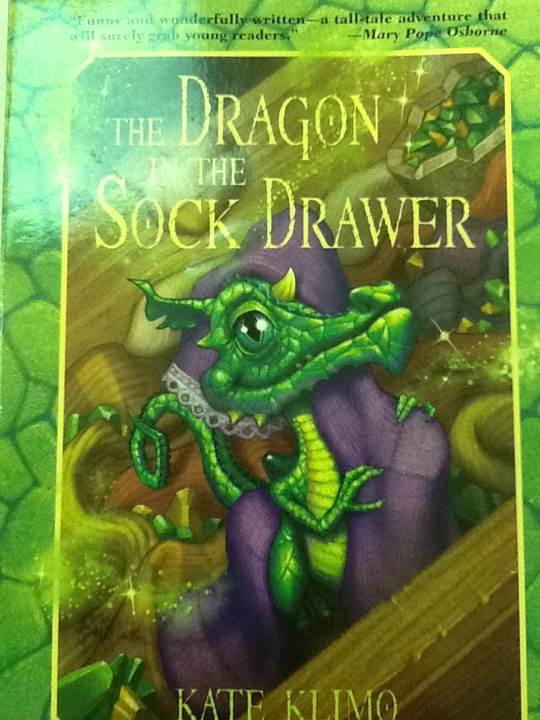The Dragon In The Sock Drawer