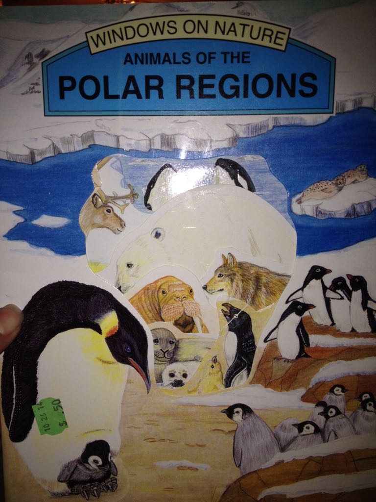 Animals Of The Polar Regions - Debora Burr book collectible [Barcode 9781900933957] - Main Image 1
