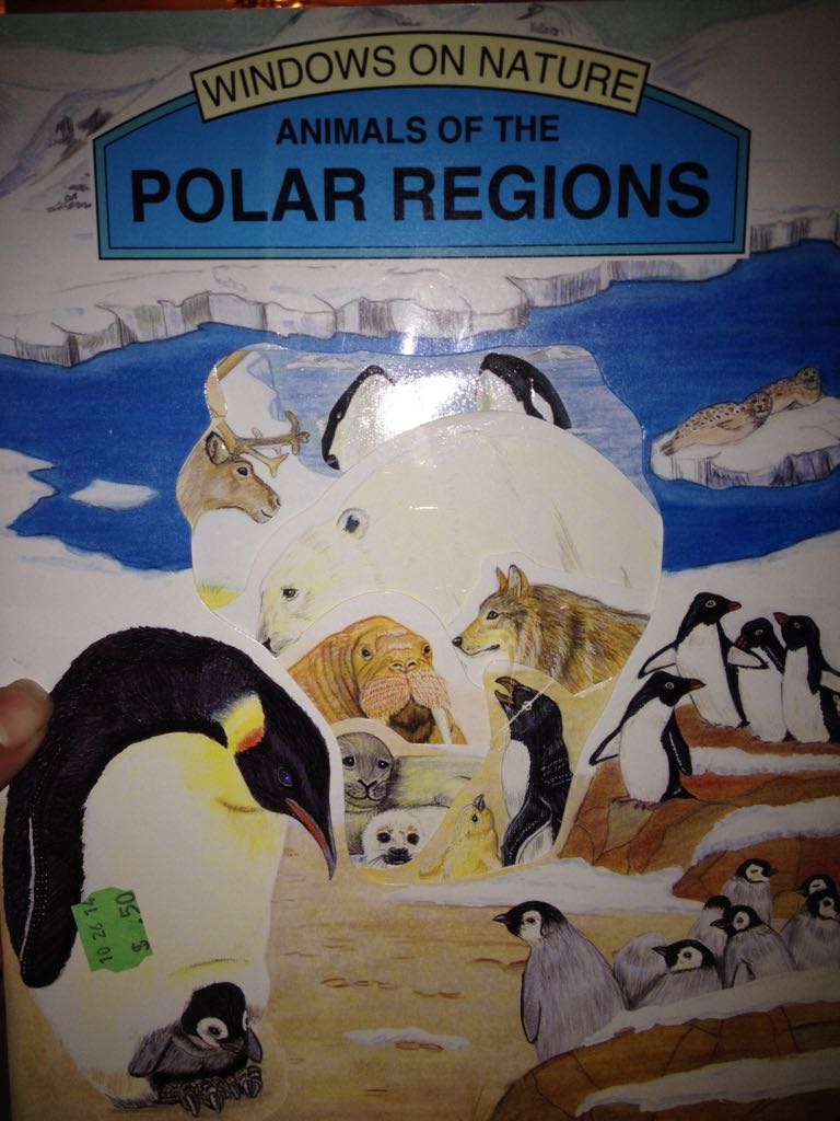 Animals Of The Polar Regions