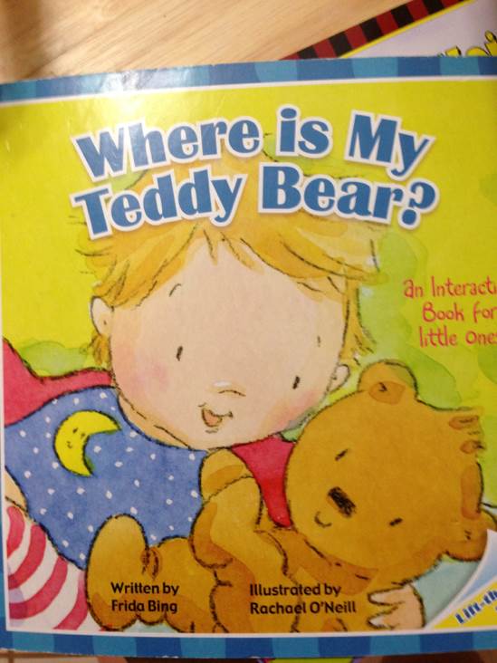 Where Is My Teddy Bear?