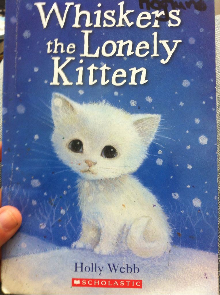Whiskers The Lonely Kitten